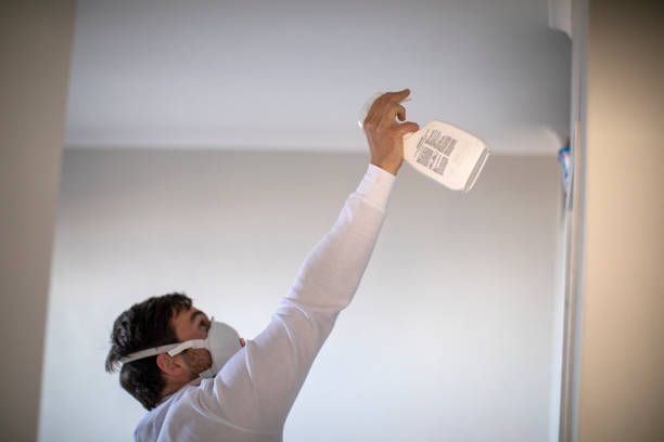 Best Residential Mold Remediation in Epworth, IA